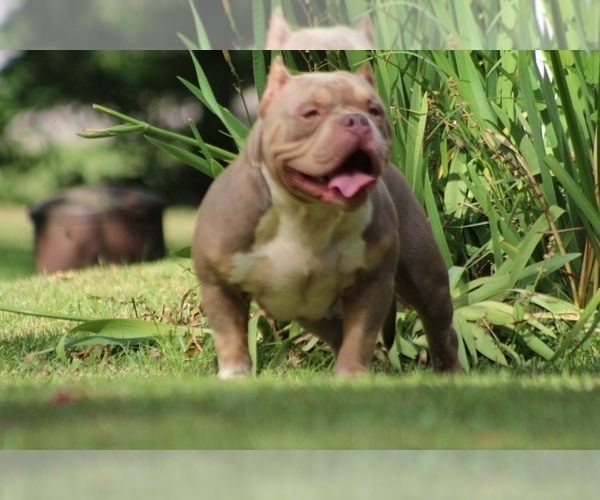 Medium Photo #6  Breeder Profile in MOUNT OLIVE, AL, USA