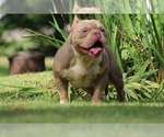 Small #5 Breeder Profile image