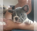 Small #6 Breeder Profile image