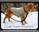 Small #1 Breeder Profile image