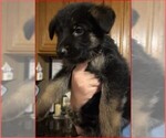 Small #9 Breeder Profile image