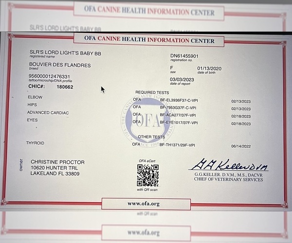 Medium Photo #11  Breeder Profile in LOUISVILLE, KY, USA