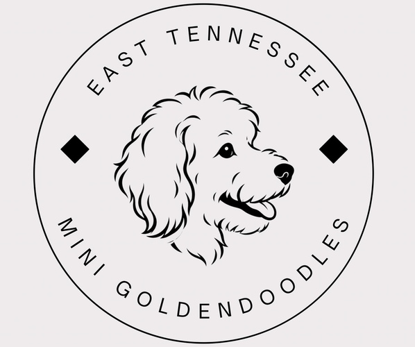 Medium Photo #1  Breeder Profile in SEVIERVILLE, TN, USA