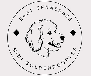 Medium Breeder Profile Photo