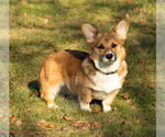 Small #11 Breeder Profile image