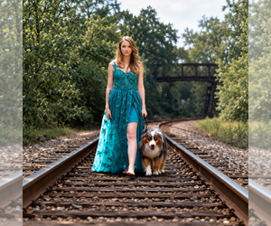 Medium Breeder Profile Photo