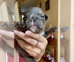 Small #5 Breeder Profile image