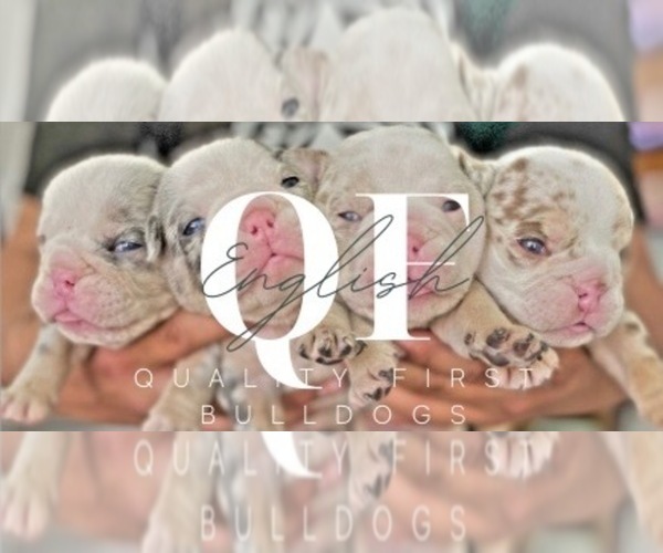Medium Photo #1  Breeder Profile in ROCKLIN, CA, USA