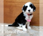 Small #3 Breeder Profile image