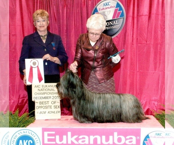 Medium Photo #11  Breeder Profile in LAKESIDE, CA, USA