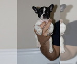 Small #2 Breeder Profile image