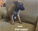 Small #2 Breeder Profile image