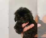 Small #4 Breeder Profile image