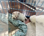 Small #4 Breeder Profile image