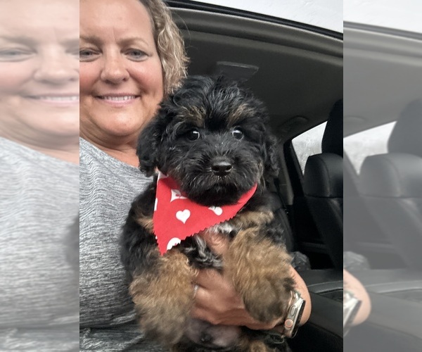 Medium Photo #1  Breeder Profile in GAY, GA, USA