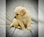 Small #5 Breeder Profile image