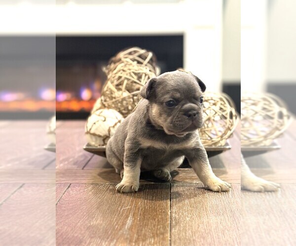 Medium Photo #11  Breeder Profile in FONTANA, CA, USA