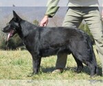 Small #1 Breeder Profile image