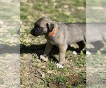 Small #9 Breeder Profile image