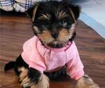 Small #12 Breeder Profile image