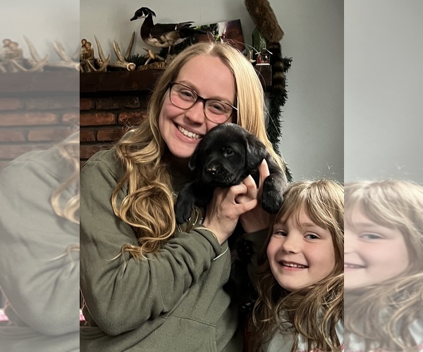 Medium Photo #1  Breeder Profile in PLYMOUTH, MA, USA