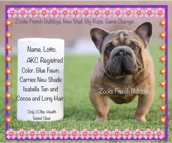 Medium Photo #10  Breeder Profile in FORT PLAIN, NY, USA