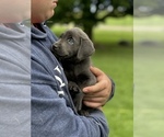 Small #3 Breeder Profile image