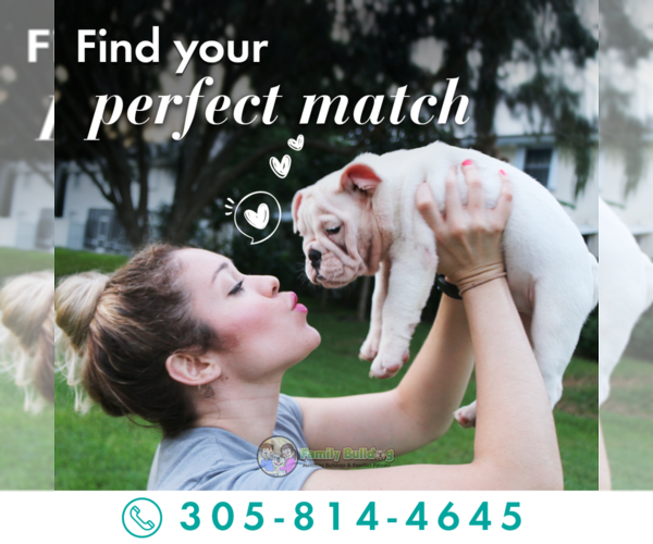 Medium Photo #1  Breeder Profile in TAMPA, FL, USA