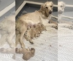 Small #5 Breeder Profile image