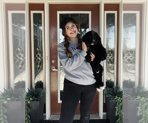 Medium Photo #1  Breeder Profile in MELVERN, KS, USA