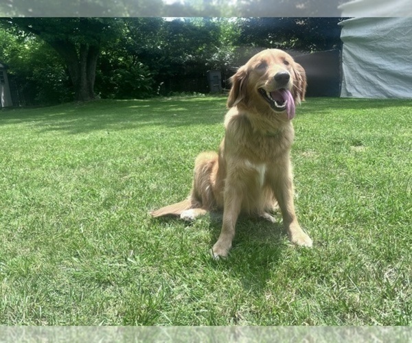 Medium Photo #9  Breeder Profile in HARRISON, OH, USA
