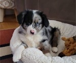 Small #13 Breeder Profile image