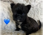Small #1 Breeder Profile image