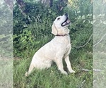 Small Photo #9  Breeder Profile in MONROE, OR, USA