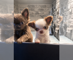 Small #15 Breeder Profile image