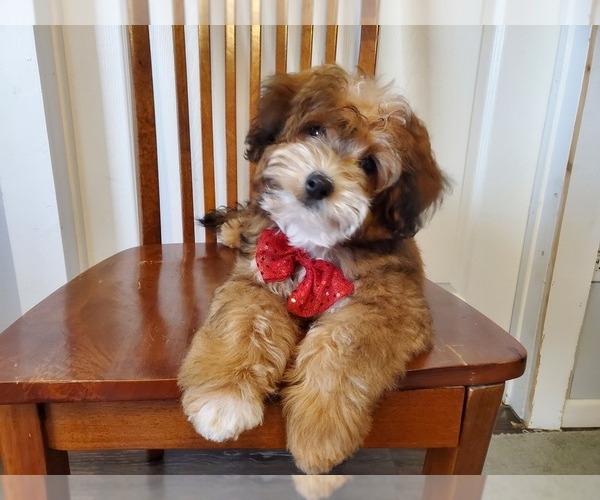 Medium Photo #4  Breeder Profile in WILLS POINT, TX, USA