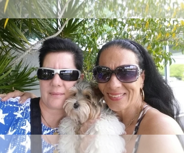 Medium Photo #2  Breeder Profile in CORTLAND, NY, USA