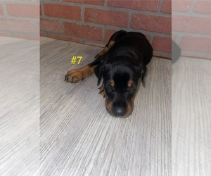 Medium Breeder Profile Photo