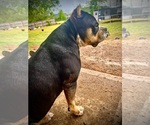 Small #20 Breeder Profile image