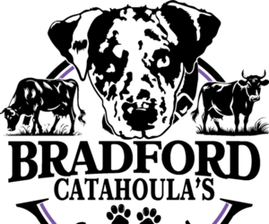 Catahoula Leopard Dog Dog Breeder near SCOTT CITY, KS, USA