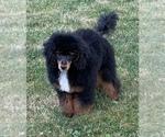 Small #1 Breeder Profile image