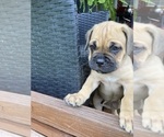 Small #14 Breeder Profile image