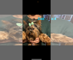 Small #5 Breeder Profile image