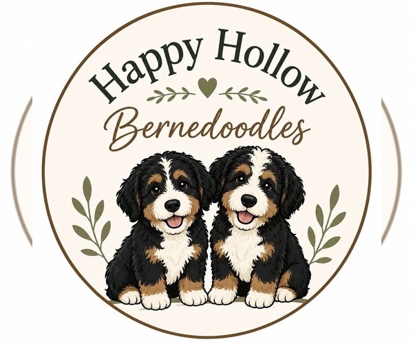 Medium Photo #1  Breeder Profile in MARTINSVILLE, IN, USA