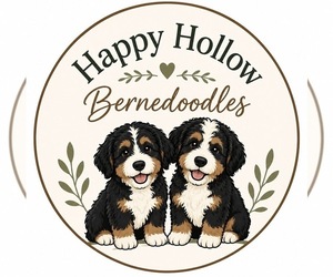 Bernedoodle Dog Breeder near MARTINSVILLE, IN, USA