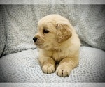 Small #8 Breeder Profile image