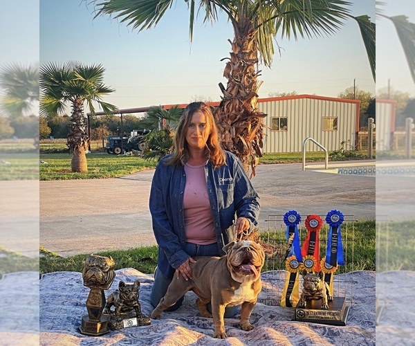 Medium Photo #7  Breeder Profile in CALDWELL, TX, USA