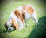 Small #5 Breeder Profile image