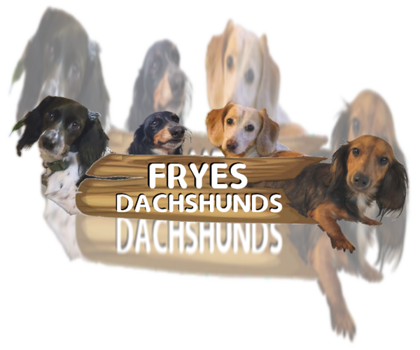 Medium Photo #1  Breeder Profile in CANDLER, NC, USA