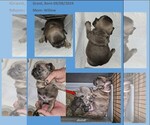 Small #3 Breeder Profile image